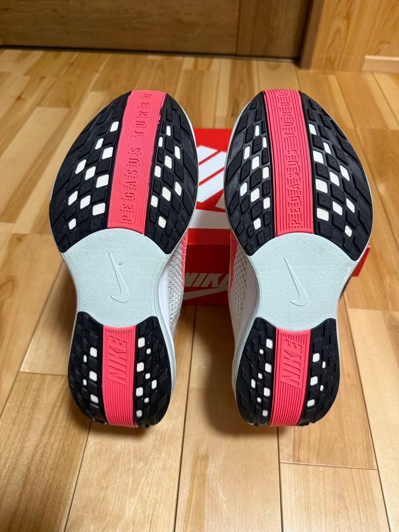 Nike ZoomX Pegasus Plus／レディース25.5cm