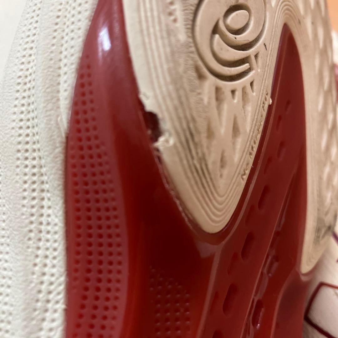 asics GELHOOP V17 バスケットボールシューズ25.5
