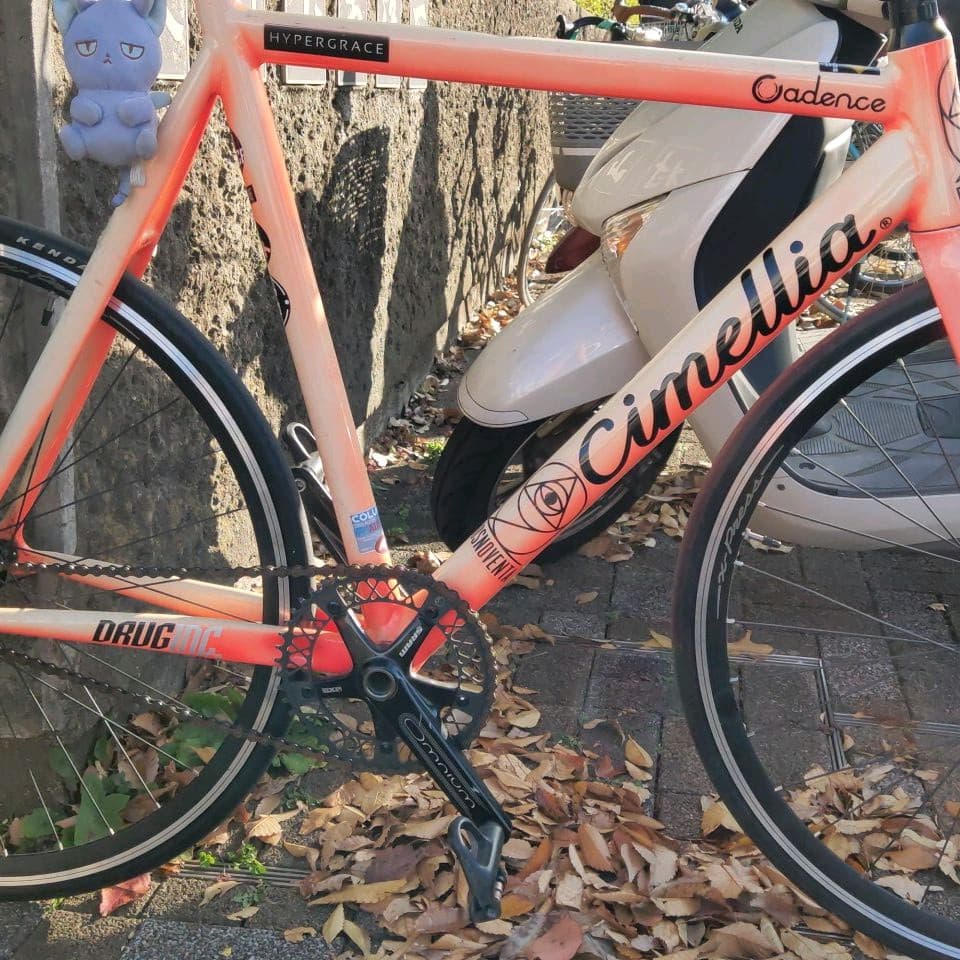 fixed bike ピストバイク