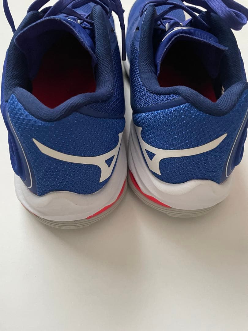 MIZUNO ミズノ ウエーブライトニングZ6 バレーボールシューズ　24.5