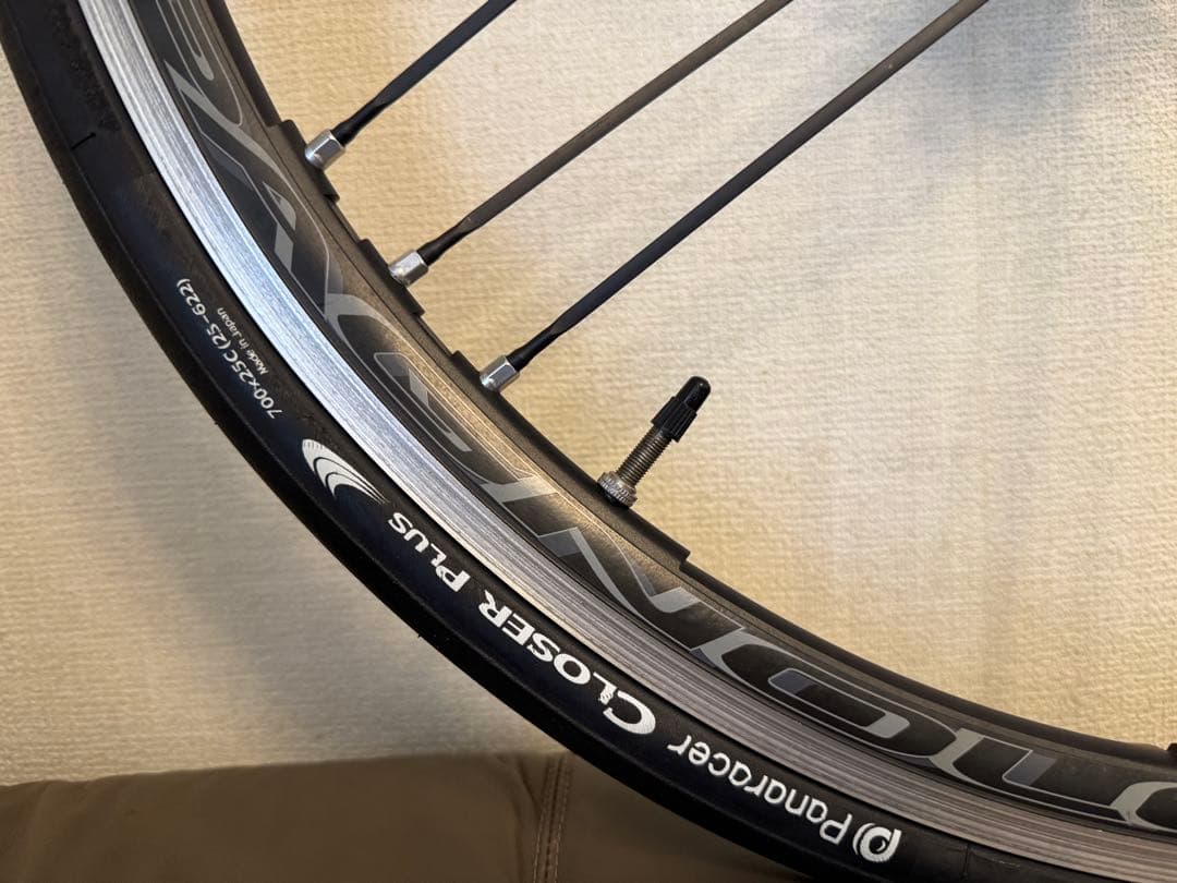 自転車本体 CAMPAGNOLO SHAMAL ULTRA C17