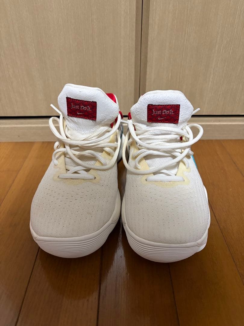 Nike ハイパーダンク2017 low EP