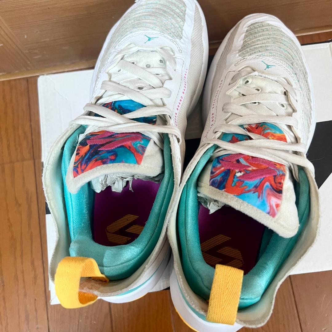 NIKE ナイキ JORDAN LUKA 1 PF 25.5cm