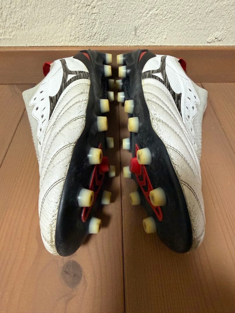 MORELIA NEO4 β JAPAN