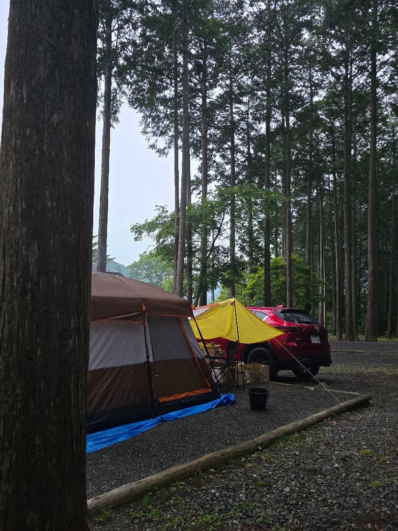 4～6人用キャンプテント