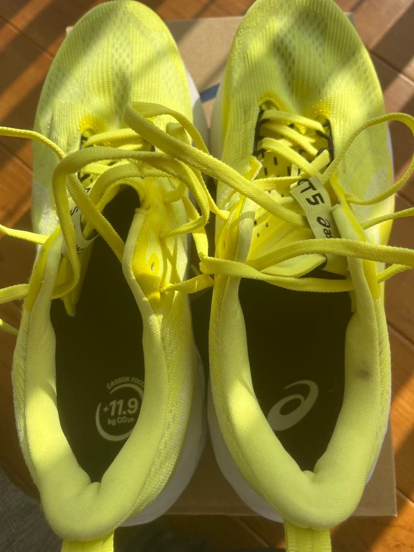 あ*た様 【美品】asics NOVABLAST 5 28.0cm スタンダード