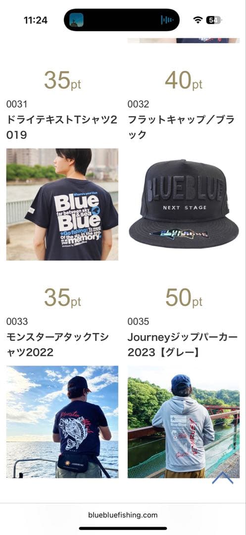 ブルーブルー 応募券85P