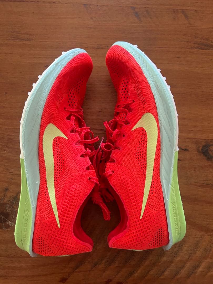 NIKEドラゴンフライ2 26cm