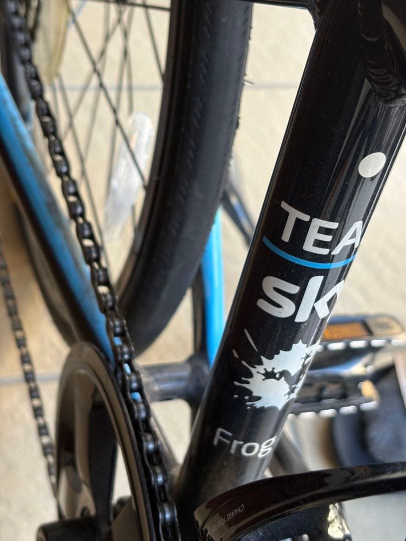 子供用　20インチバイク　Frog Road TEAMSky 改造あり