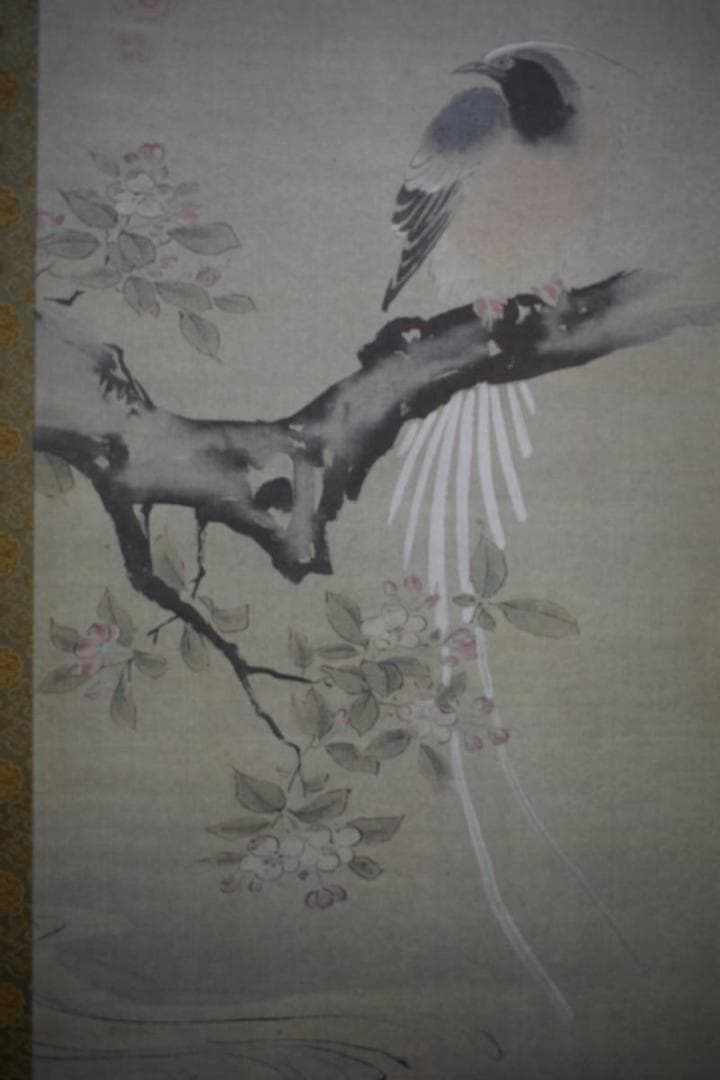 複製/狩野探幽/海常に尾長鳥/工芸/桐共箱付/布袋屋掛軸HH-933