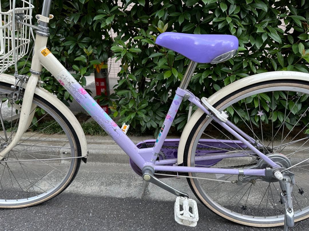子供用自転車 紫色 (かぼちゃの馬車&花)前カゴ付き24インチ