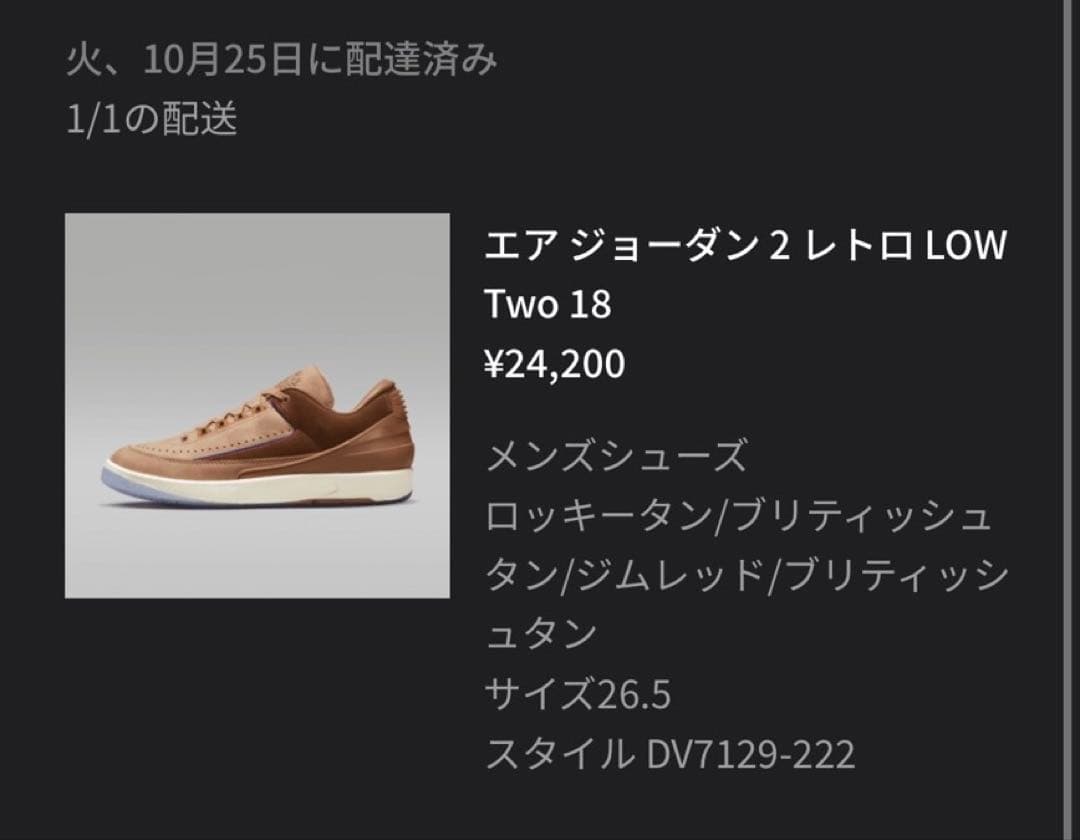 NIKE Air Jordan 2 Retro ブラウンシューズ