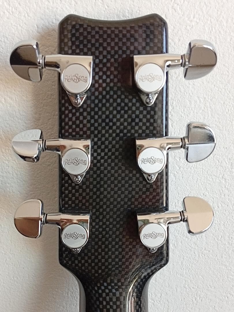 生産完了RainSong “Made in USA\"エレアコ w/OHC EX+