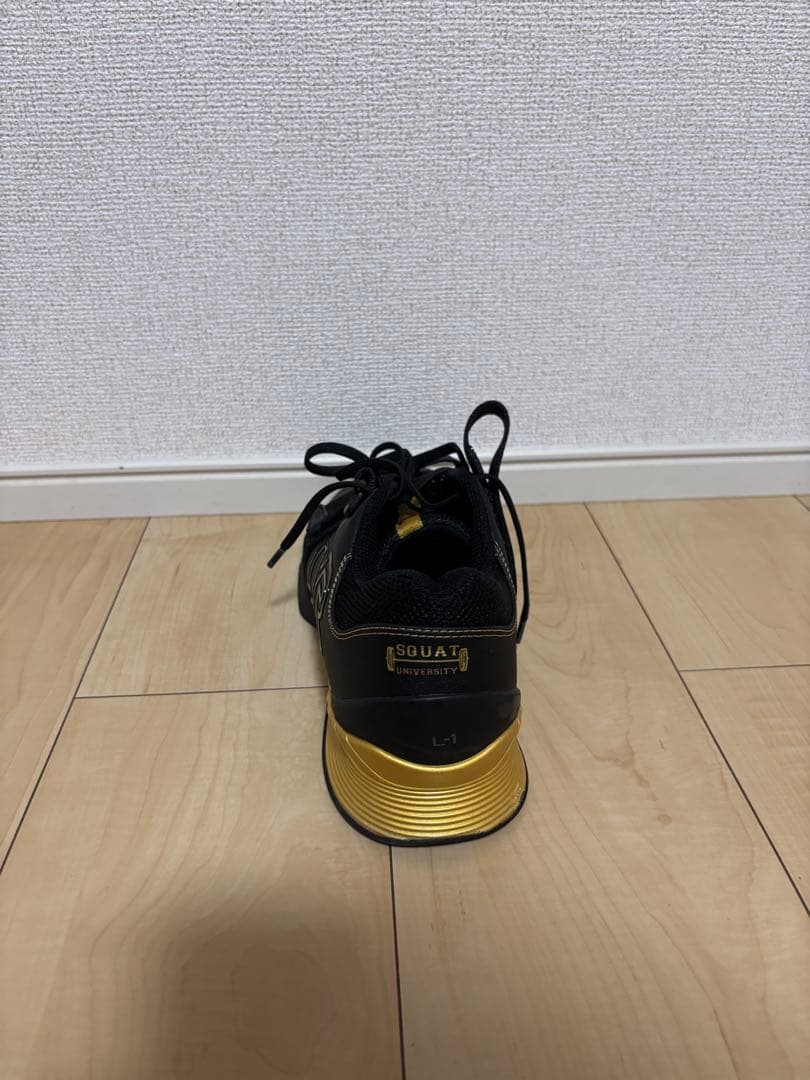 TYR L-1リフター　M9、W10.5(箱・袋無し)