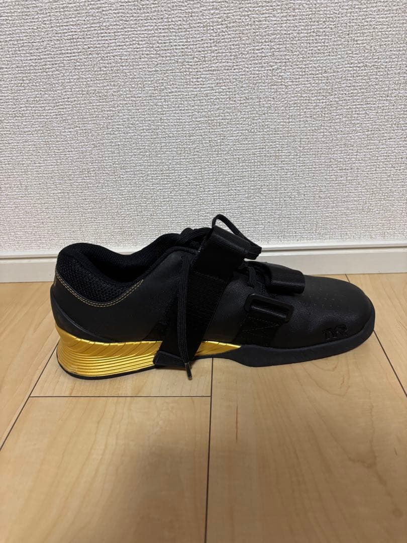 TYR L-1リフター　M9、W10.5(箱・袋無し)