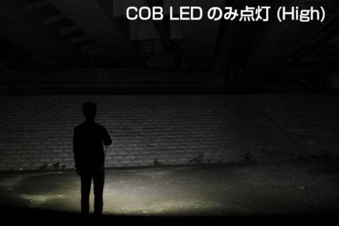 【新品】ジェントス LED 懐中電灯 防災 DIO ライト DI-217R　2本