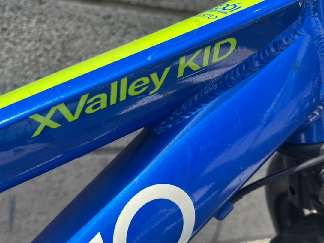 お引き取り限定 NESTO 20インチ X-VALLEY KID 外装6段ギア