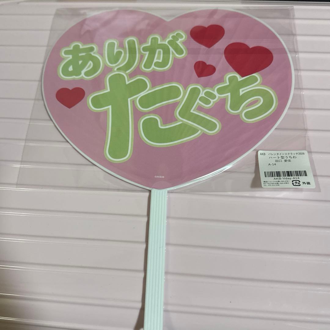 AKB48 田口愛桂