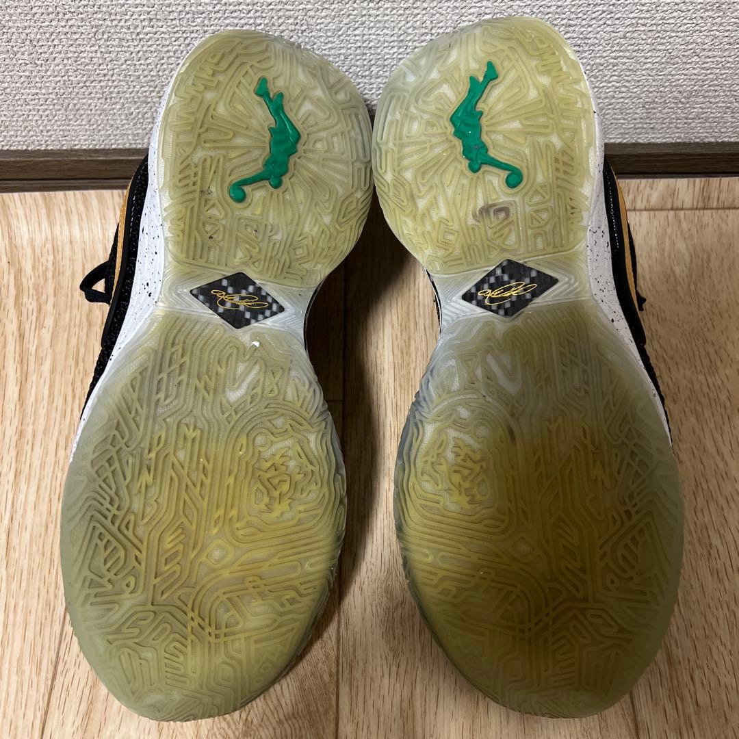 シューズ(男性用) NIKE LeBron 20 EP \"Black/llic Gold\"