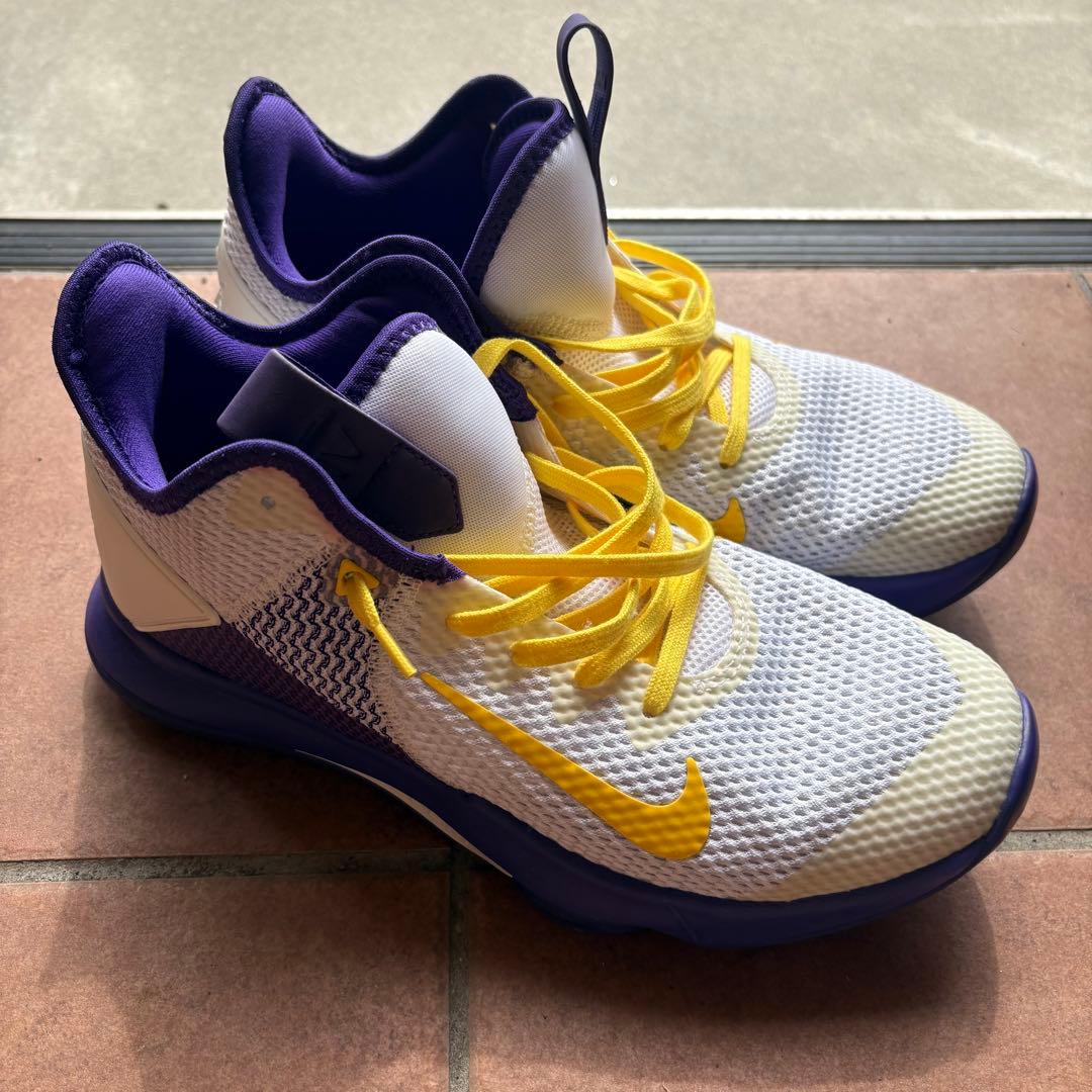 NIKE LEBRON WITNESS Ⅳ バスケットボールシューズ　28㎝