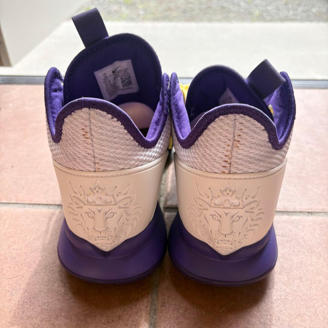 NIKE LEBRON WITNESS Ⅳ バスケットボールシューズ　28㎝