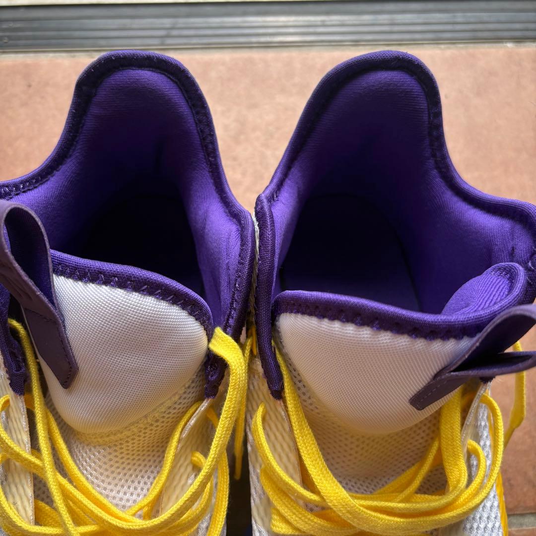NIKE LEBRON WITNESS Ⅳ バスケットボールシューズ　28㎝