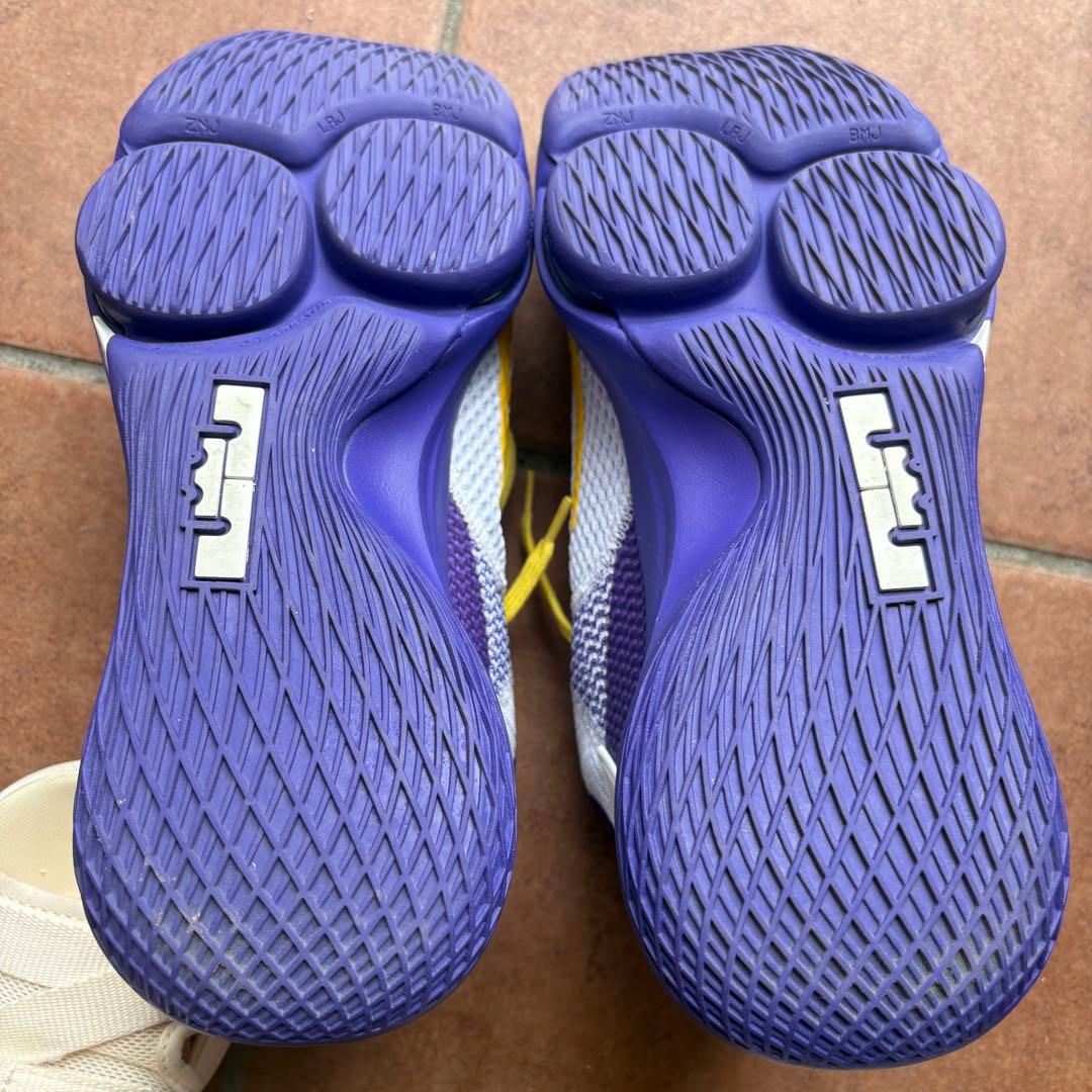 NIKE LEBRON WITNESS Ⅳ バスケットボールシューズ　28㎝