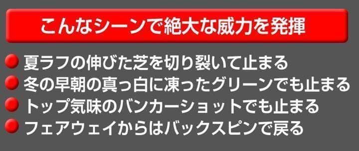 【ヘッド単品】48度も新登場! 世界最強スピン! 止まって戻って寄せワン連発!