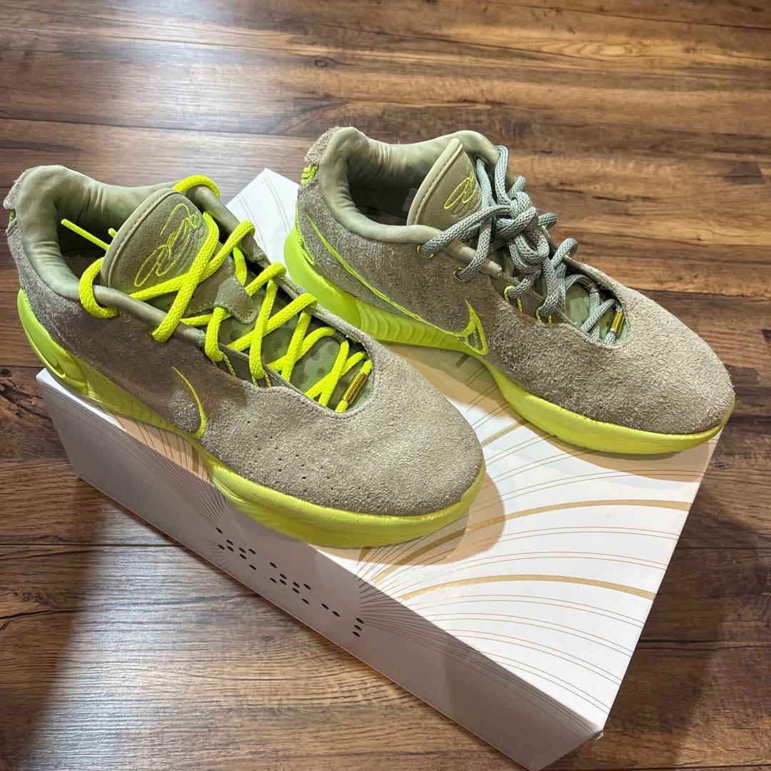 NIKE LEBRON 21 “アルジー” 28cm/US10