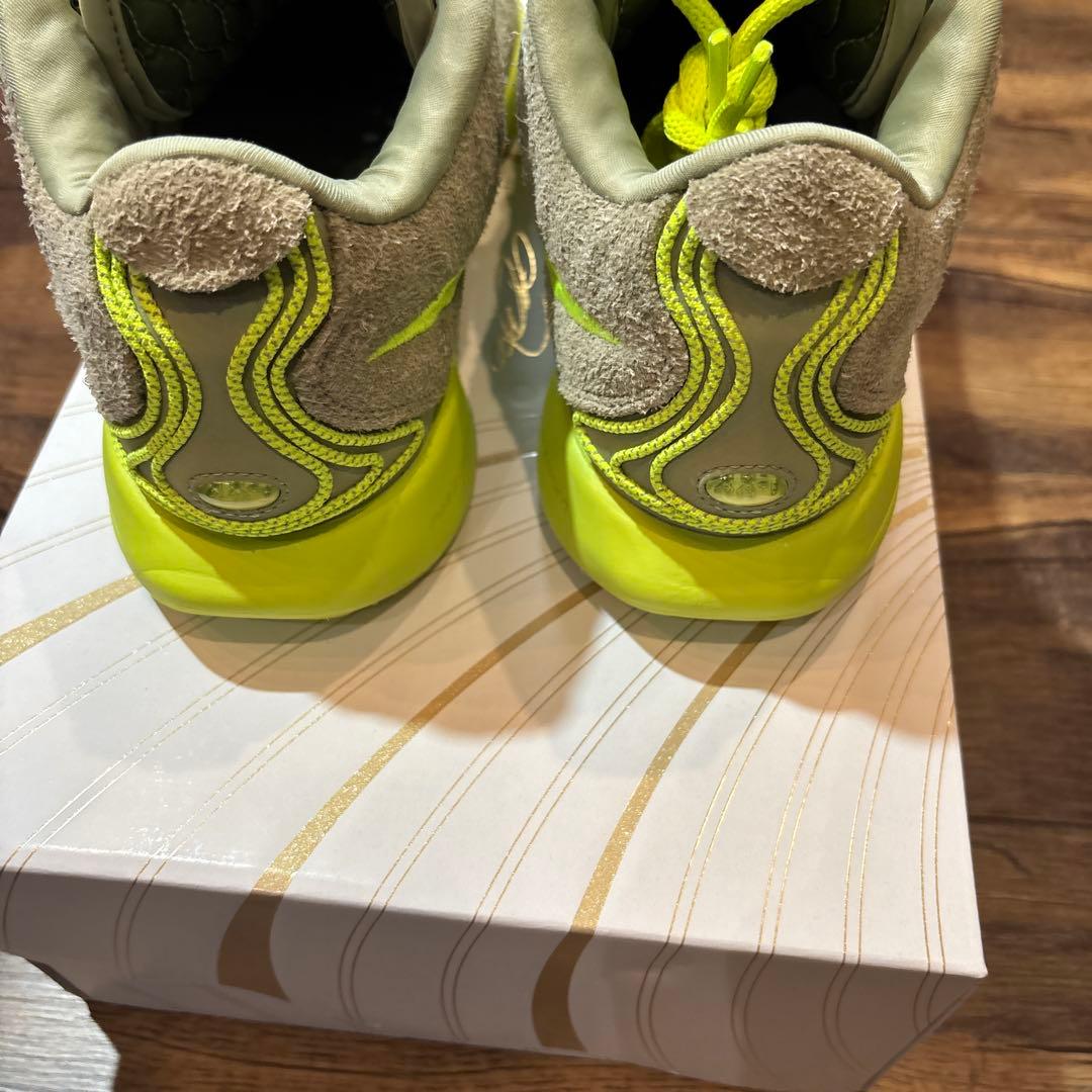 NIKE LEBRON 21 “アルジー” 28cm/US10