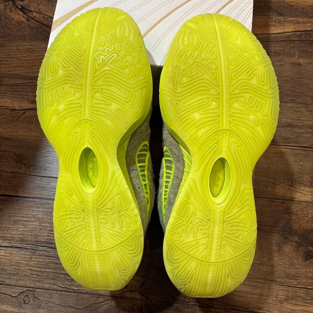 NIKE LEBRON 21 “アルジー” 28cm/US10