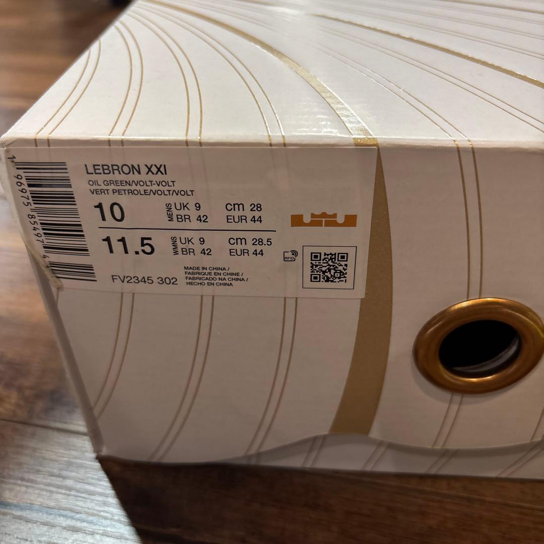 NIKE LEBRON 21 “アルジー” 28cm/US10