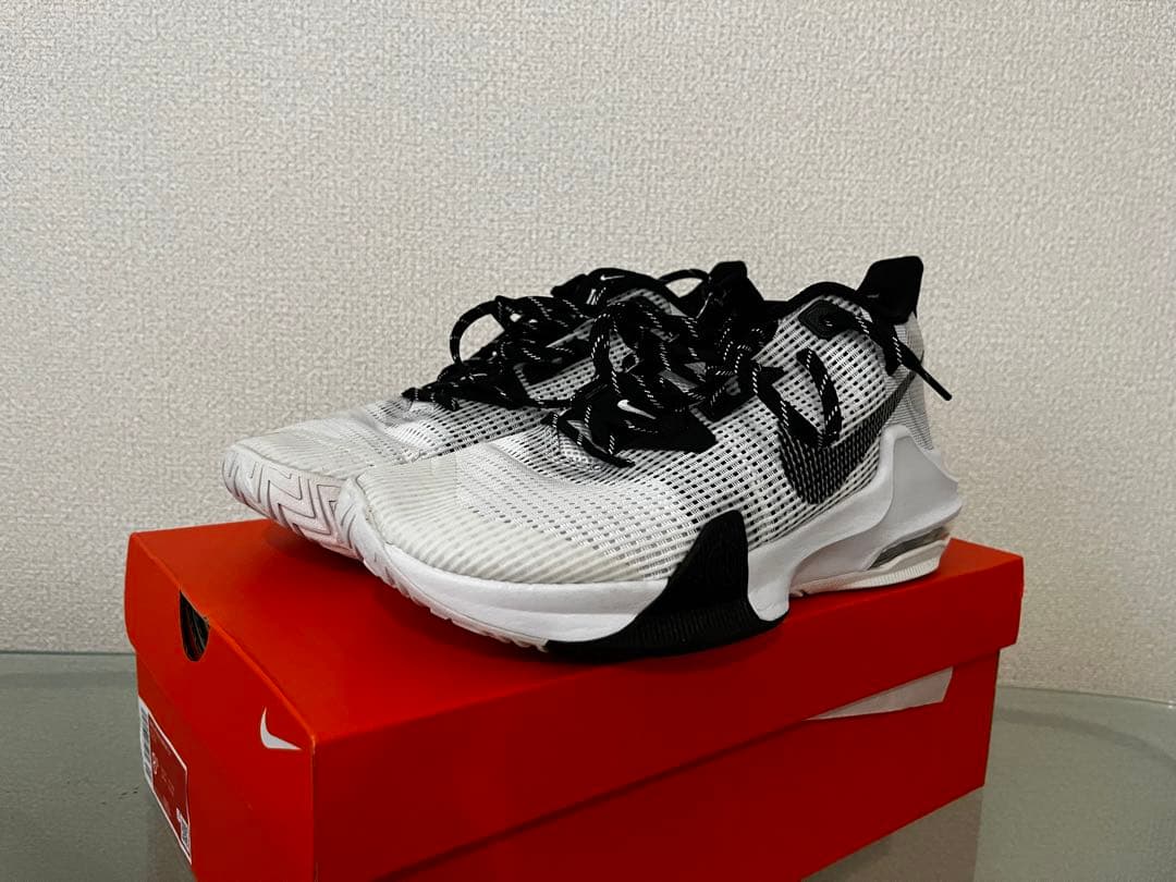 Nike バスケットボールシューズ バッシュ