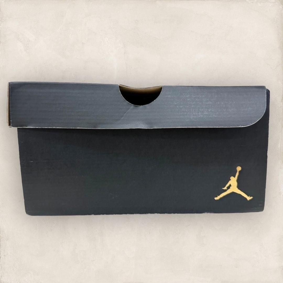 【新品・箱タグ付】NIKE ナイキ JORDAN COURT VISION 00