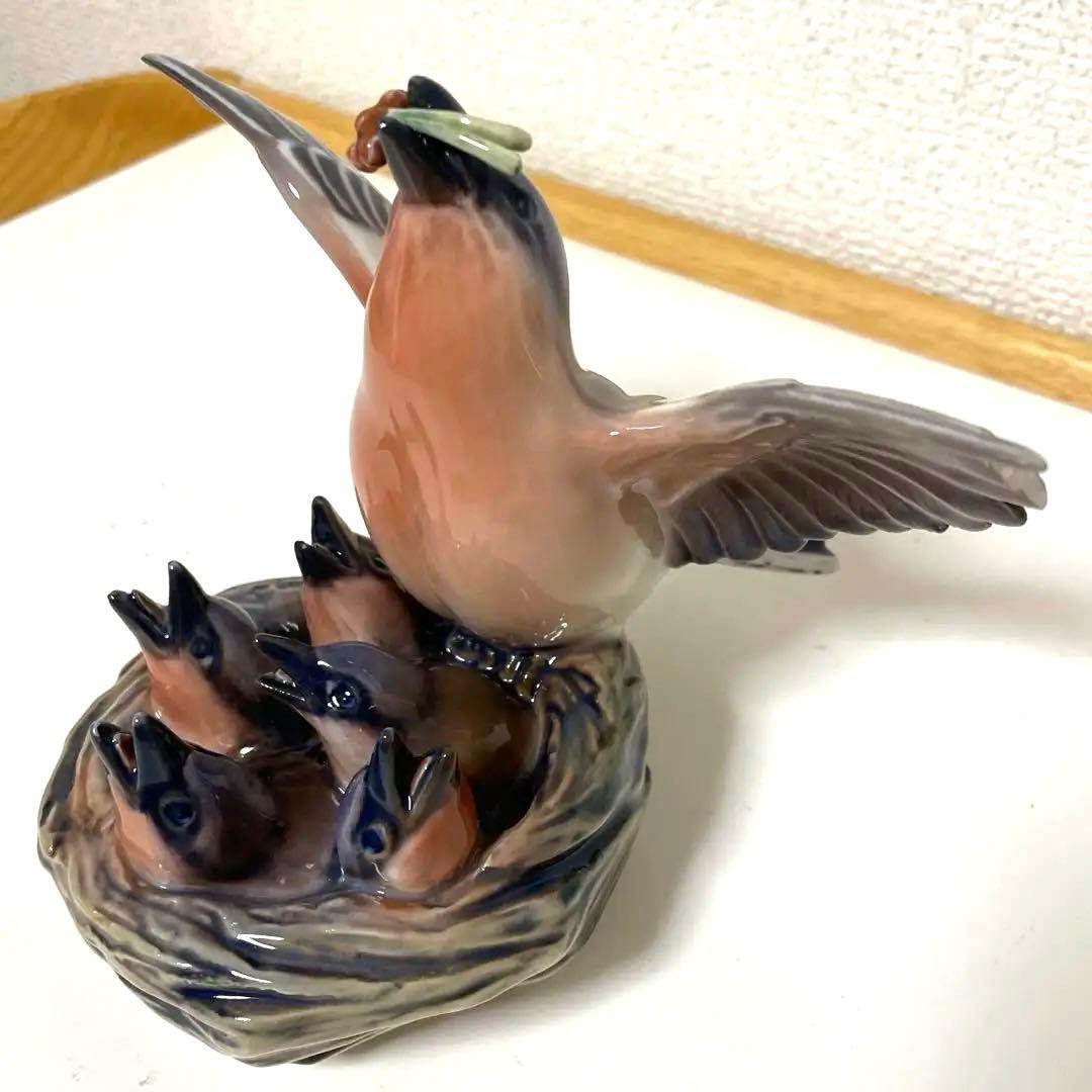 ・D.・Birds nest・[Ｂ＆Ｇmodel master]希少