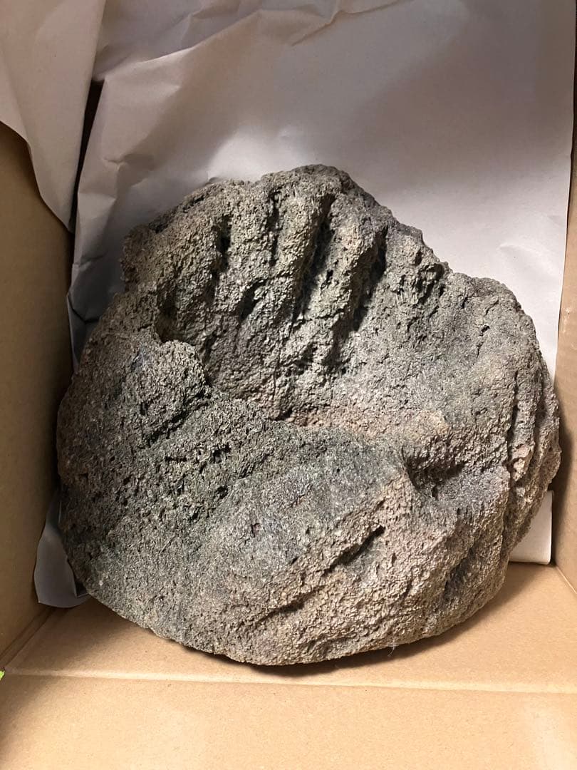 山渓鉢　軽石鉢　ガーデニング　苔　山野草　盆栽　多肉植物　テラリウム　溶岩石