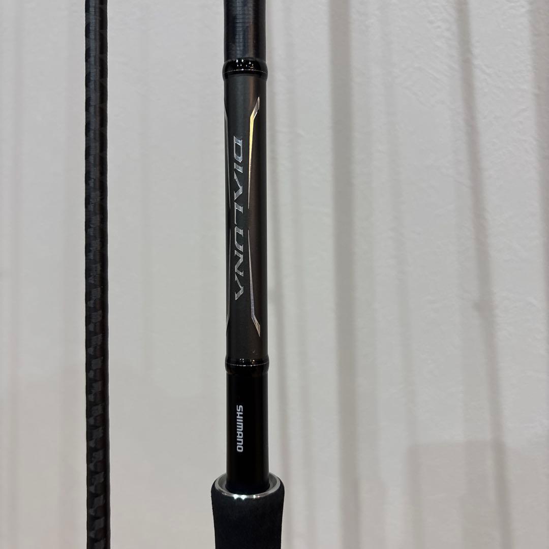 【値下げ】SHINANO 18DIALUNA ディアルーナ S106M