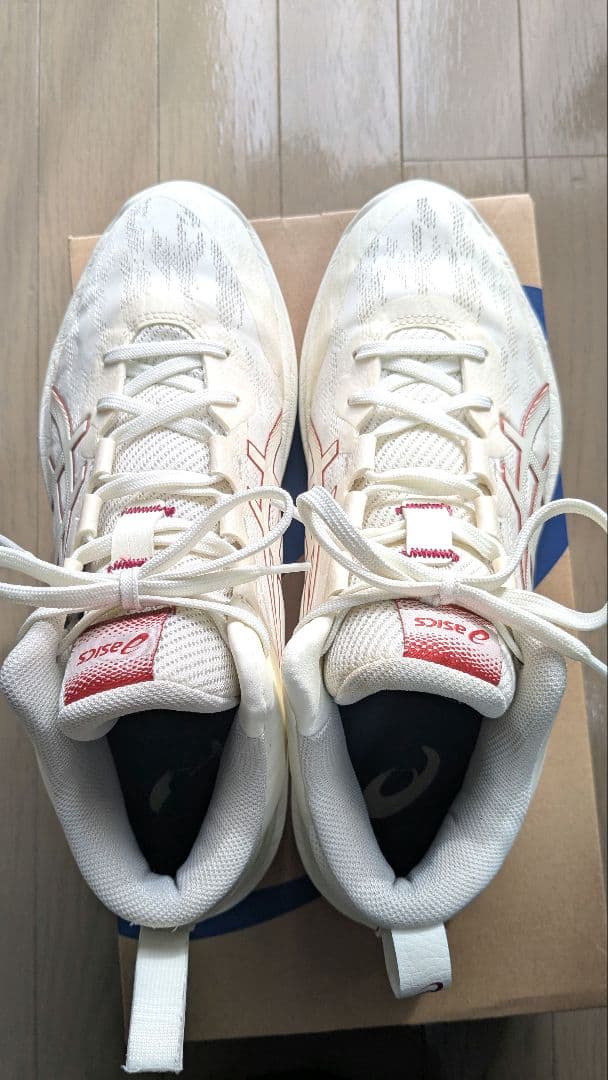 ASICS ゲルフープ V17 GELHOOP