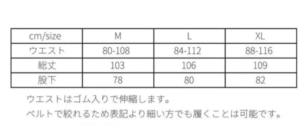 ウェア DCX 6pocket xtreme pants 2025 SAGE Lsize