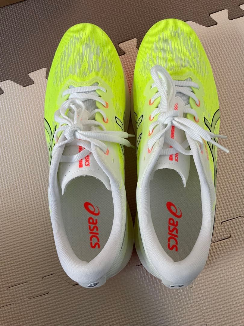 asicsメンズ EvoRide SPEED 2ランニングシューズ28.5cm