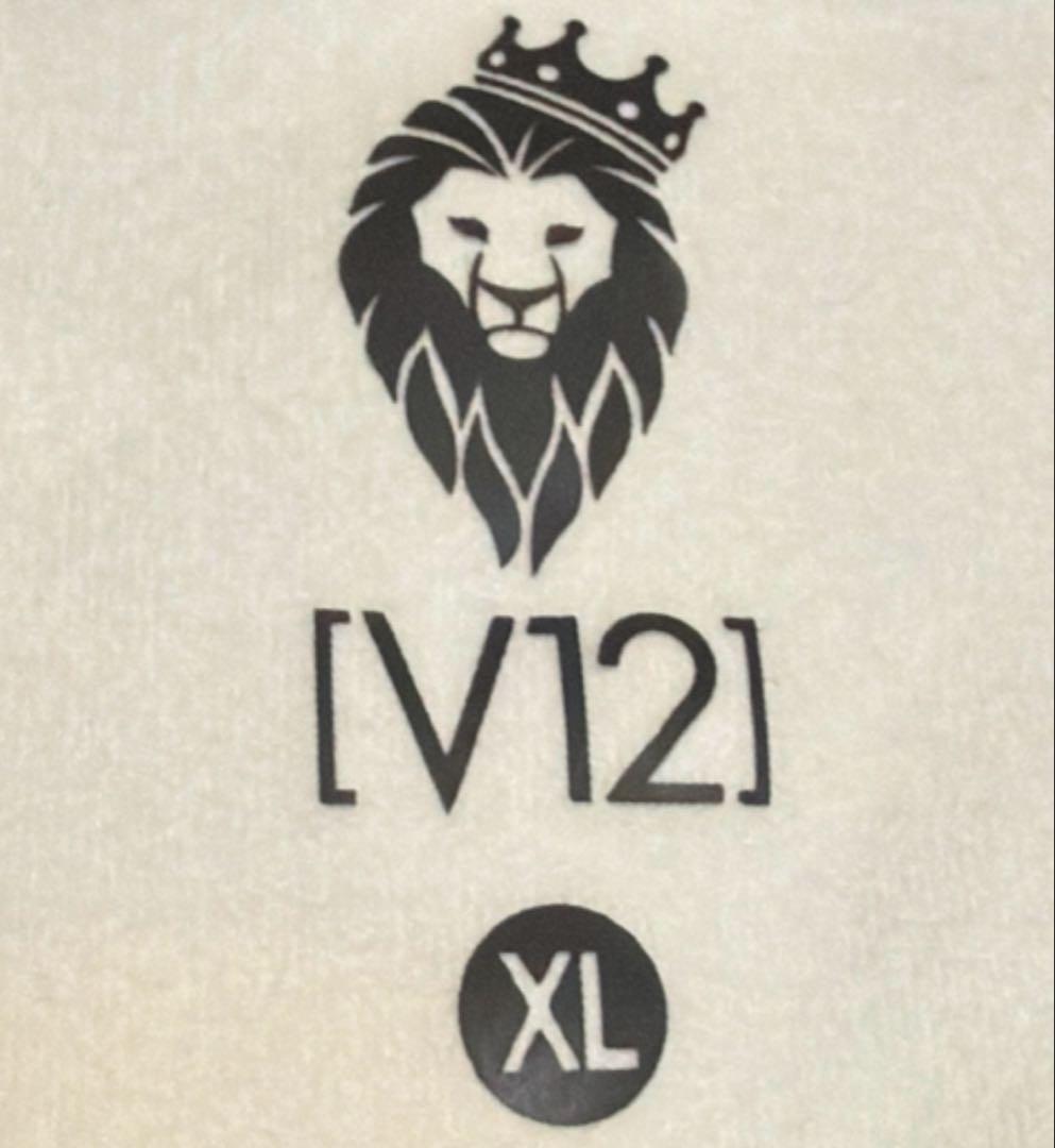 V12 ゴルフウェア　モックネック　カモフラ　迷彩