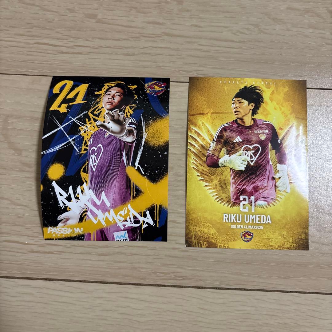 梅田陸空 応援グッズ