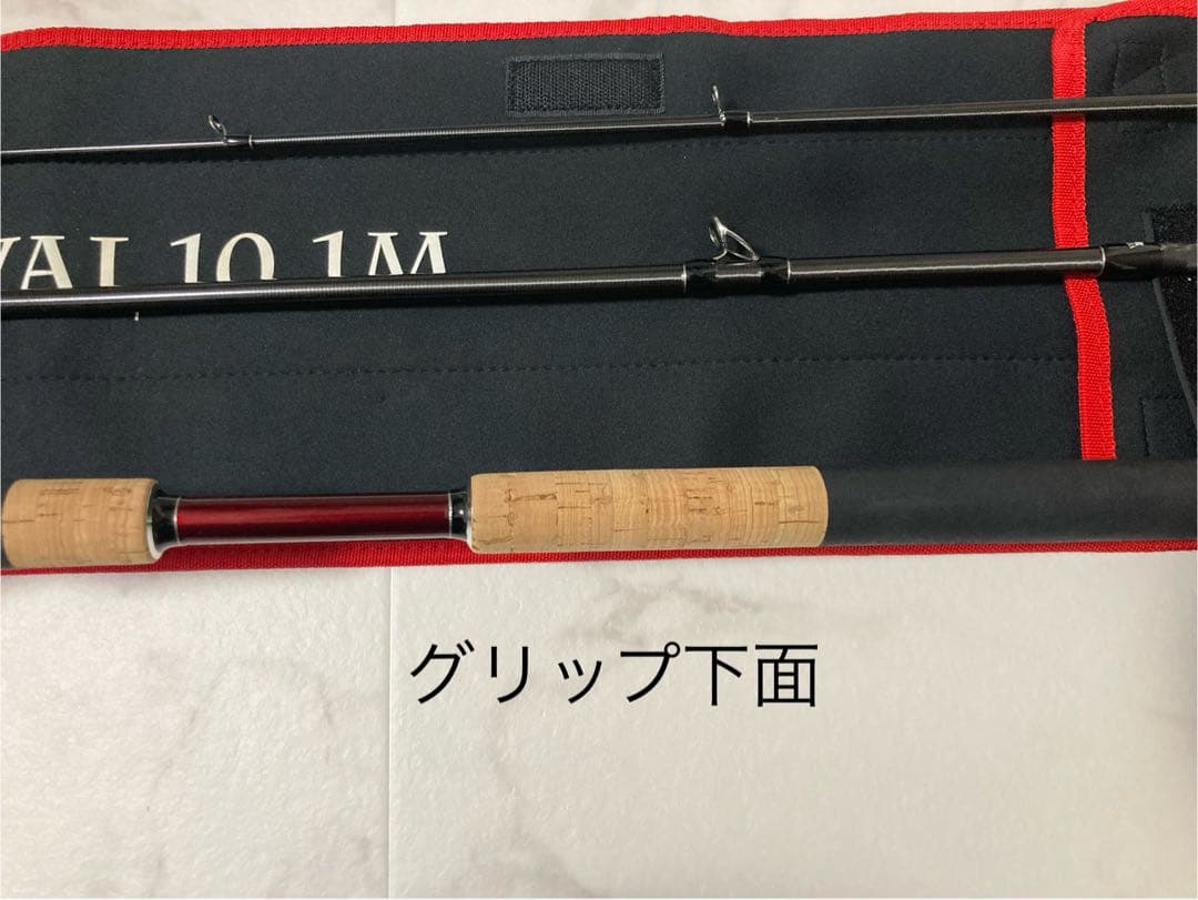 フィッシュマン ベンダバール10.1M
