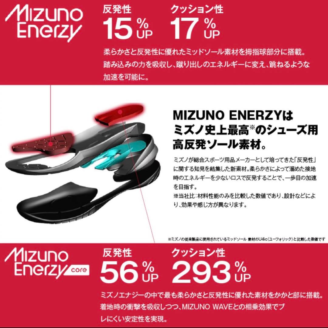 極美品MIZUNOウエーブクローEL２、２5センチ、バドミントンシューズ