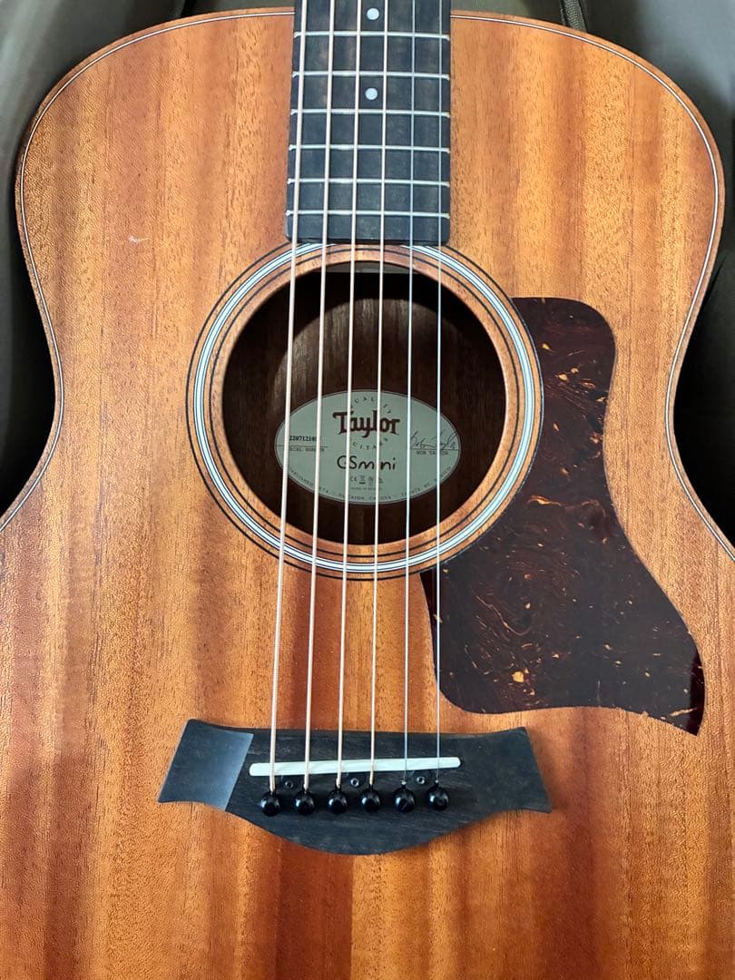 ギター Taylor GS Mini Mahogany