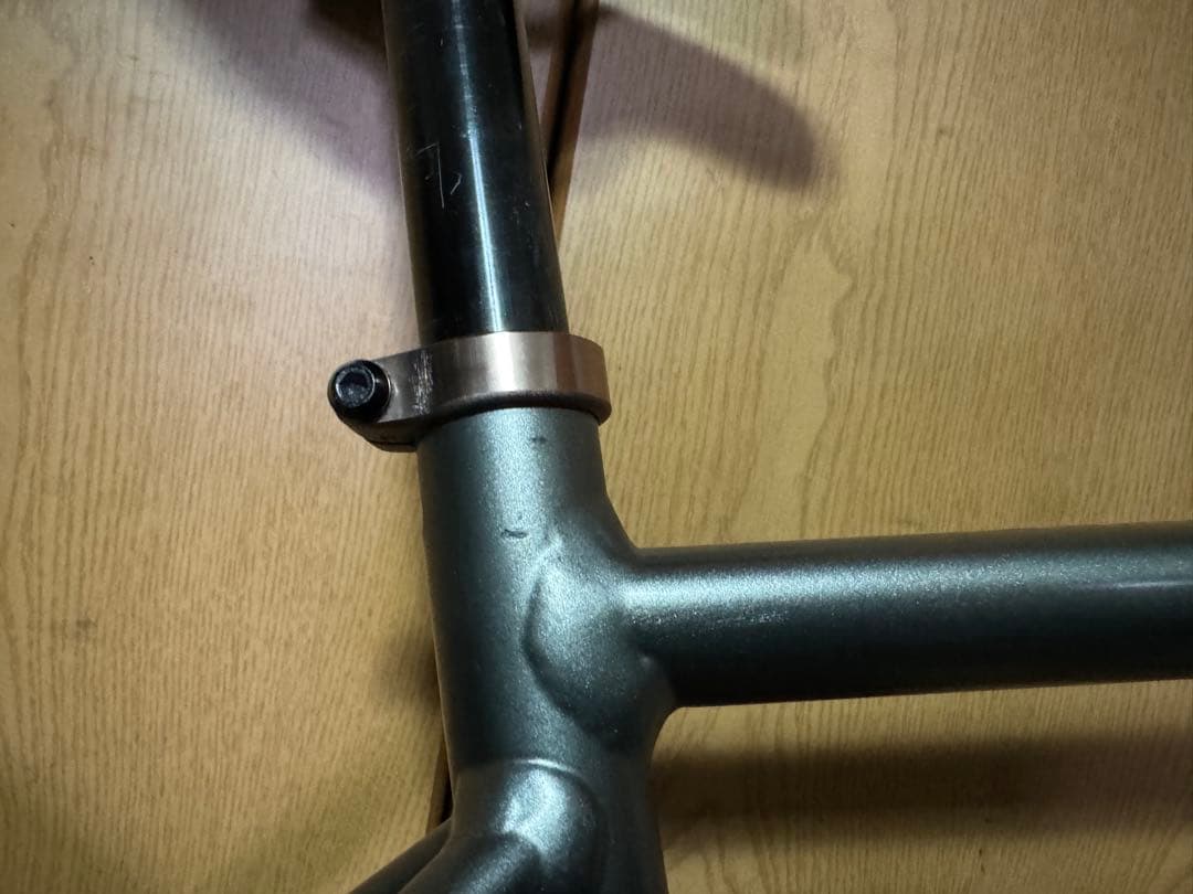 2025年モデル　TREK DOMANE AL5