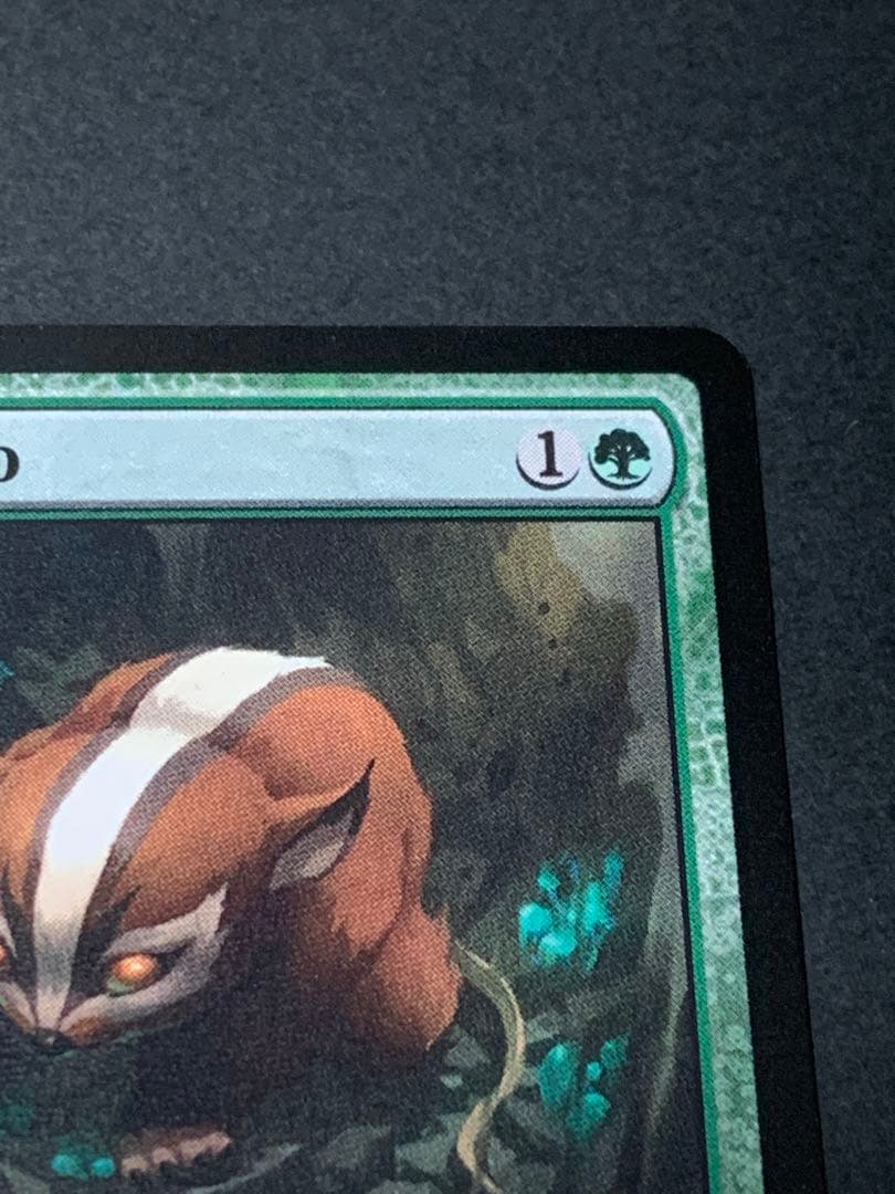 MTG アナグマモグラの仔 Badgermole Cub 英語版　ノンフォイル