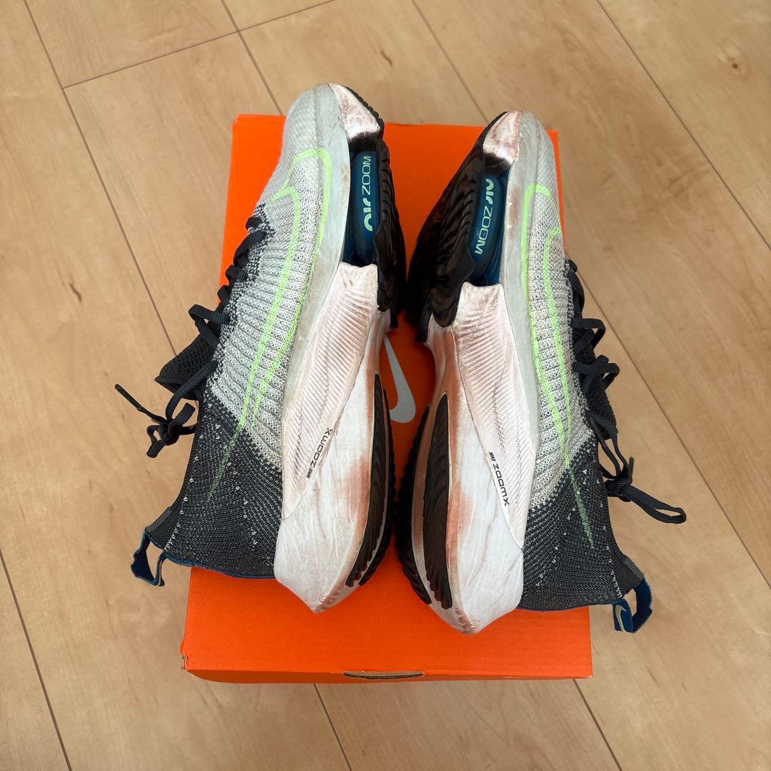 Nike エアズームテンポネクスト%26cm
