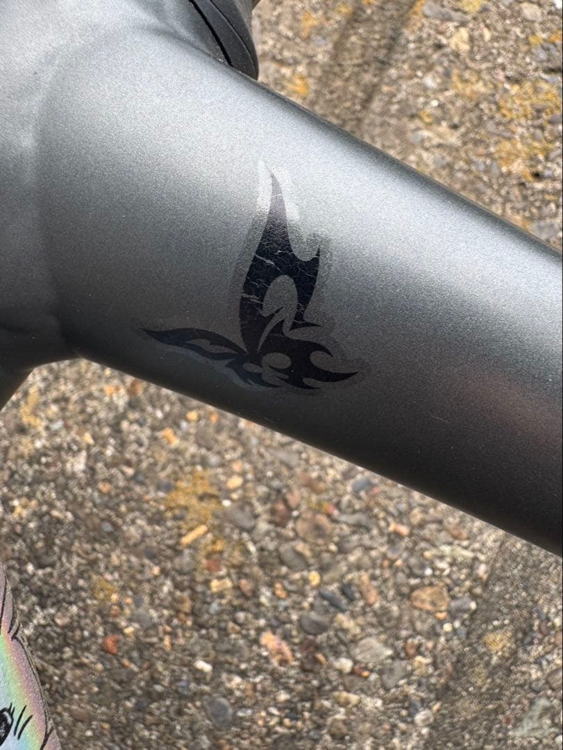 TREK 2024年 Domane AL2 54 フレーム 黒　昨年5月購入品