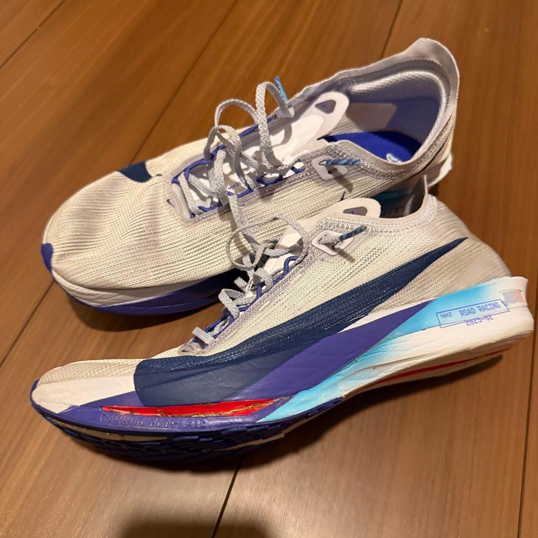 NIKEストリークフライ2/26.5cm